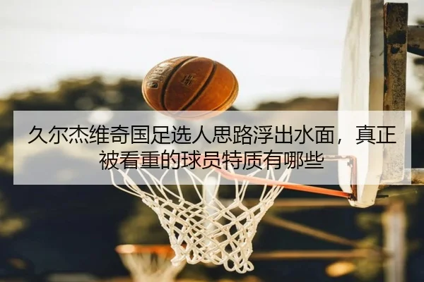 久尔杰维奇国足选人思路浮出水面，真正被看重的球员特质有哪些
